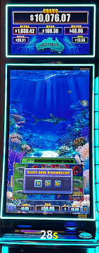 Bônus Generosos e Exclusivos no 28s para Você!